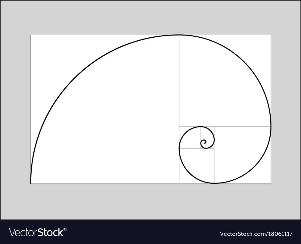 Спираль золотого сечения вектор