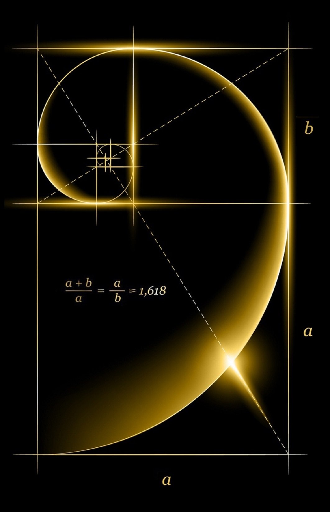Спасибо за внимание золотое сечение