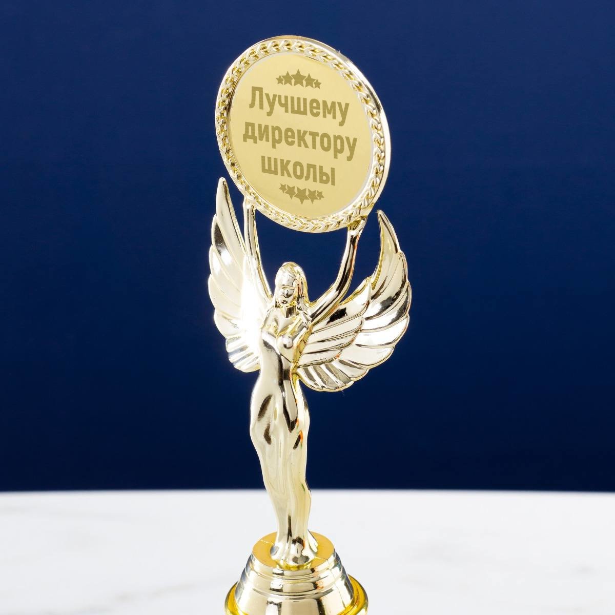 Диплом "лучшему руководителю"