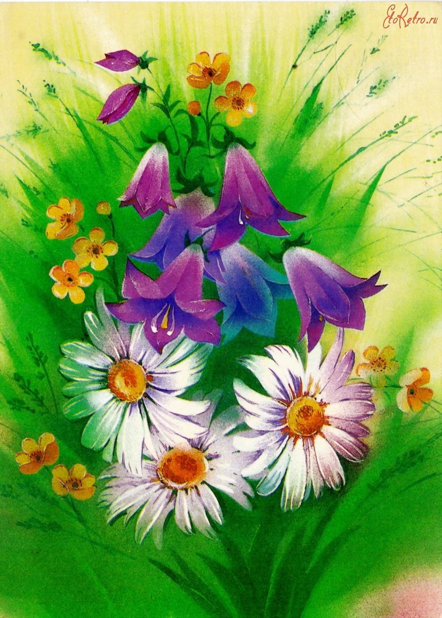 Открытки полевые цветы