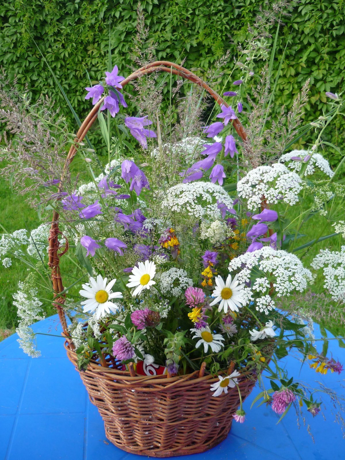 Корзинка с полевыми цветами