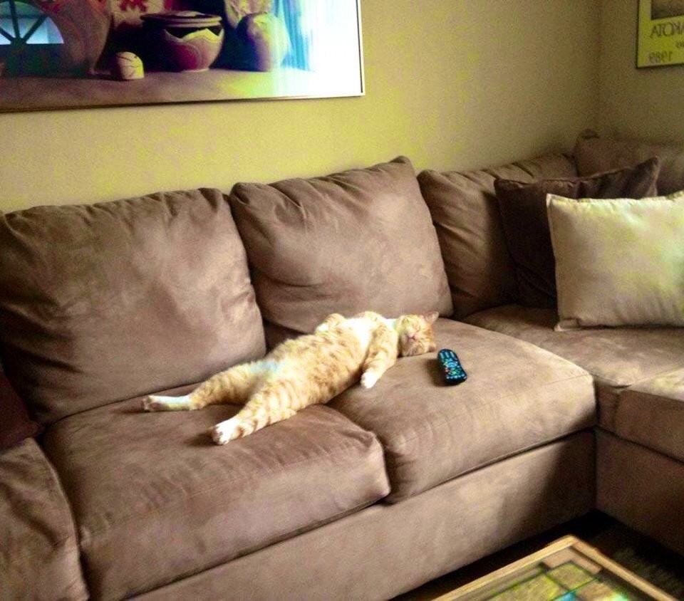 Девушка лежит на диване