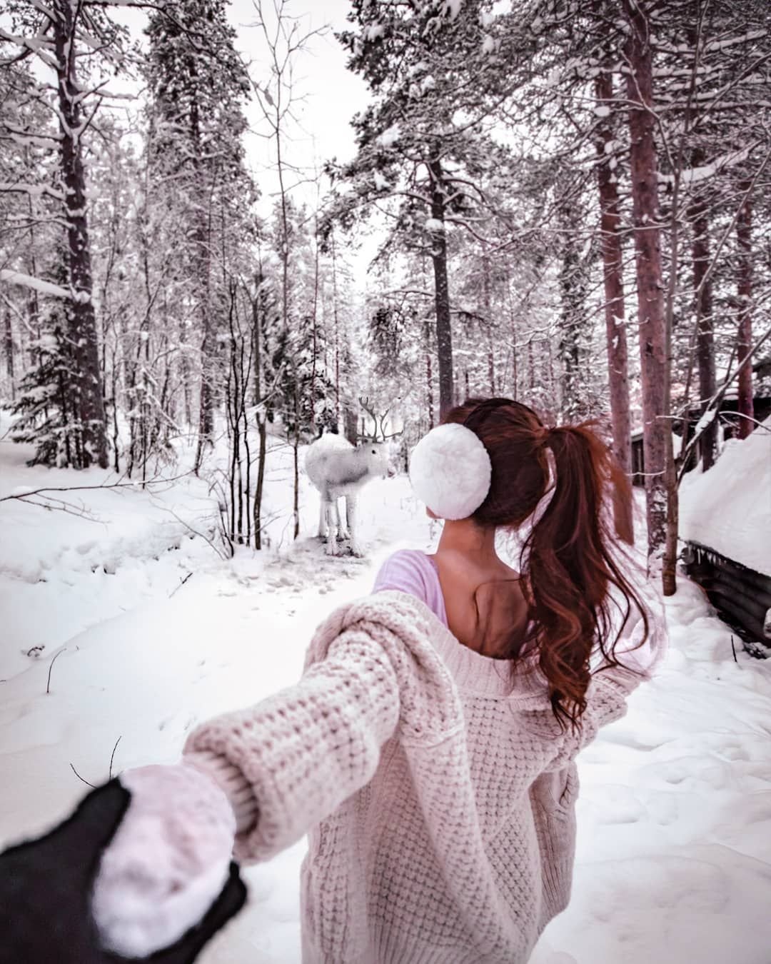 Banff Canada зимой