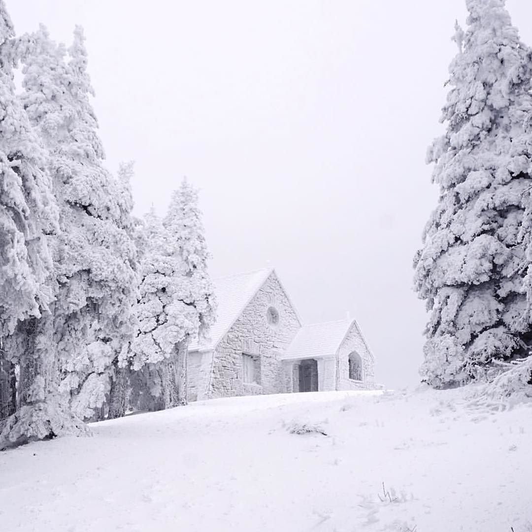 Зимняя фотосессия в лесу