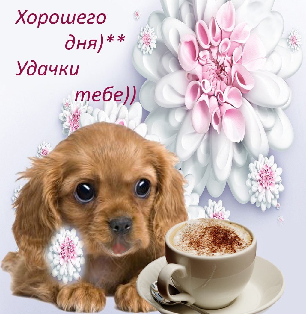 Открытки хорошего тебе дня