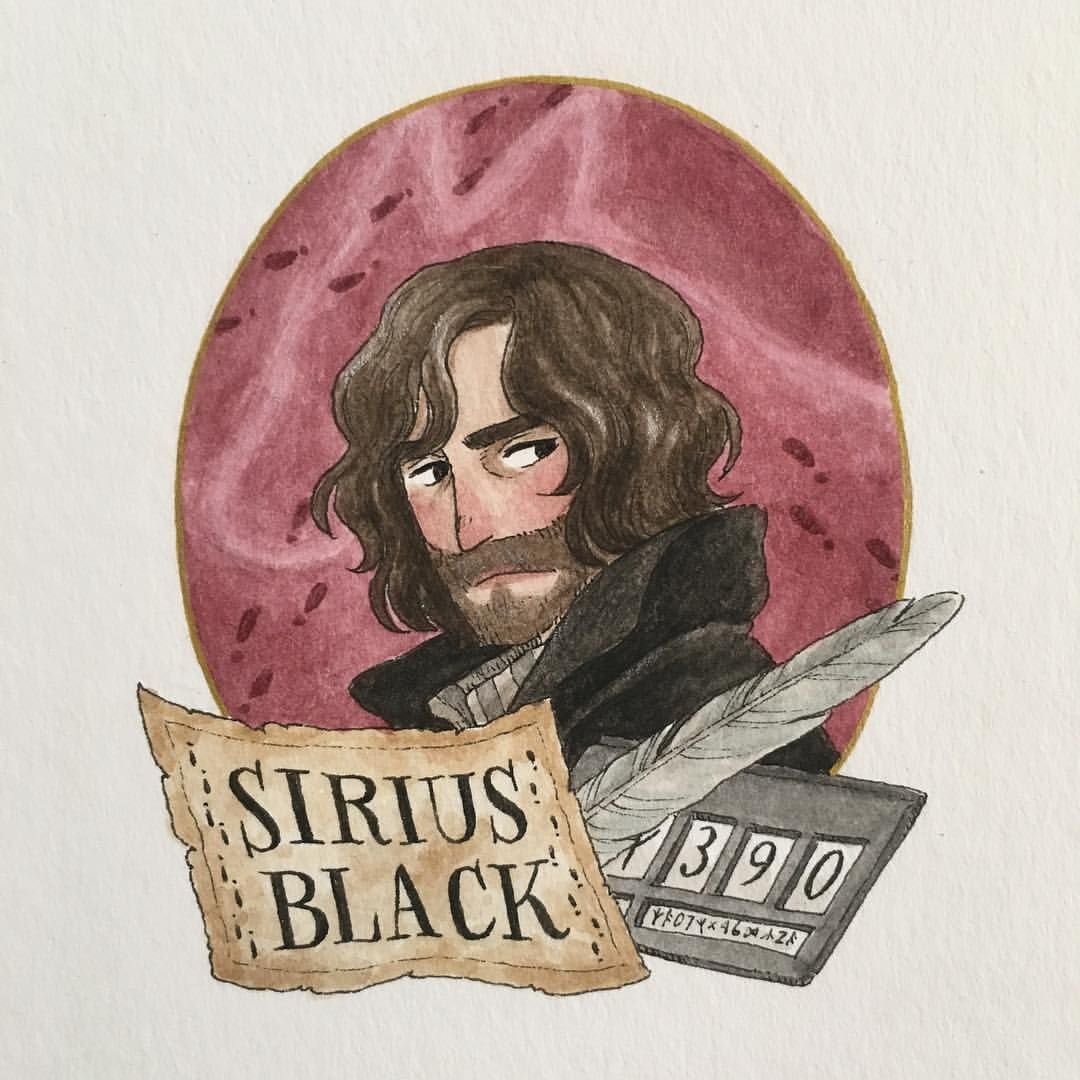 Гарри Джеймс Поттер иллюстрации