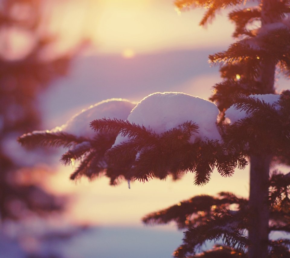 Девушка зимой со спины