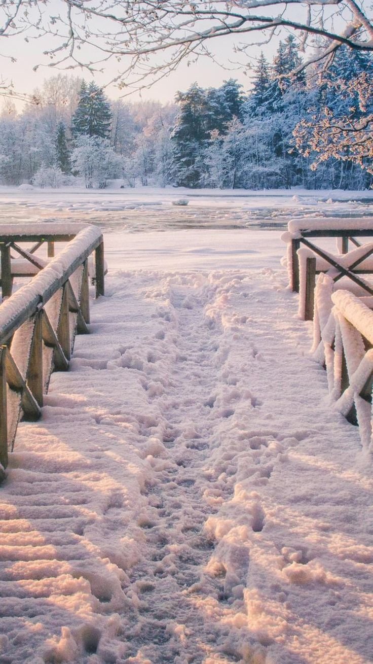 Блондинка со спины зимой