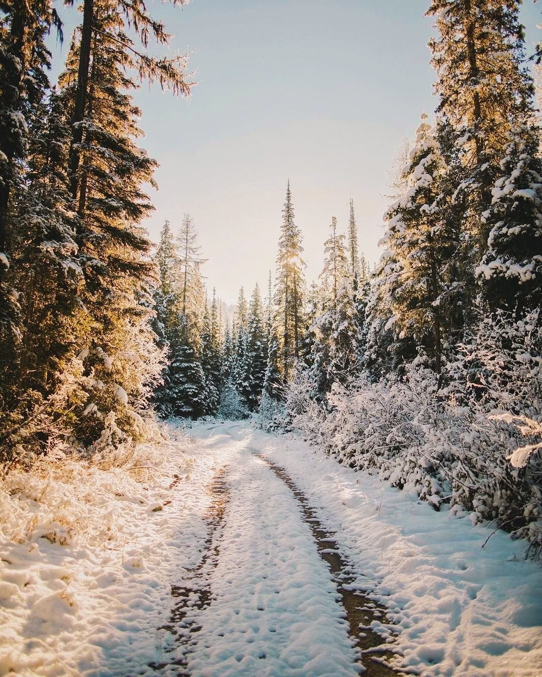 Зимняя фотосессия