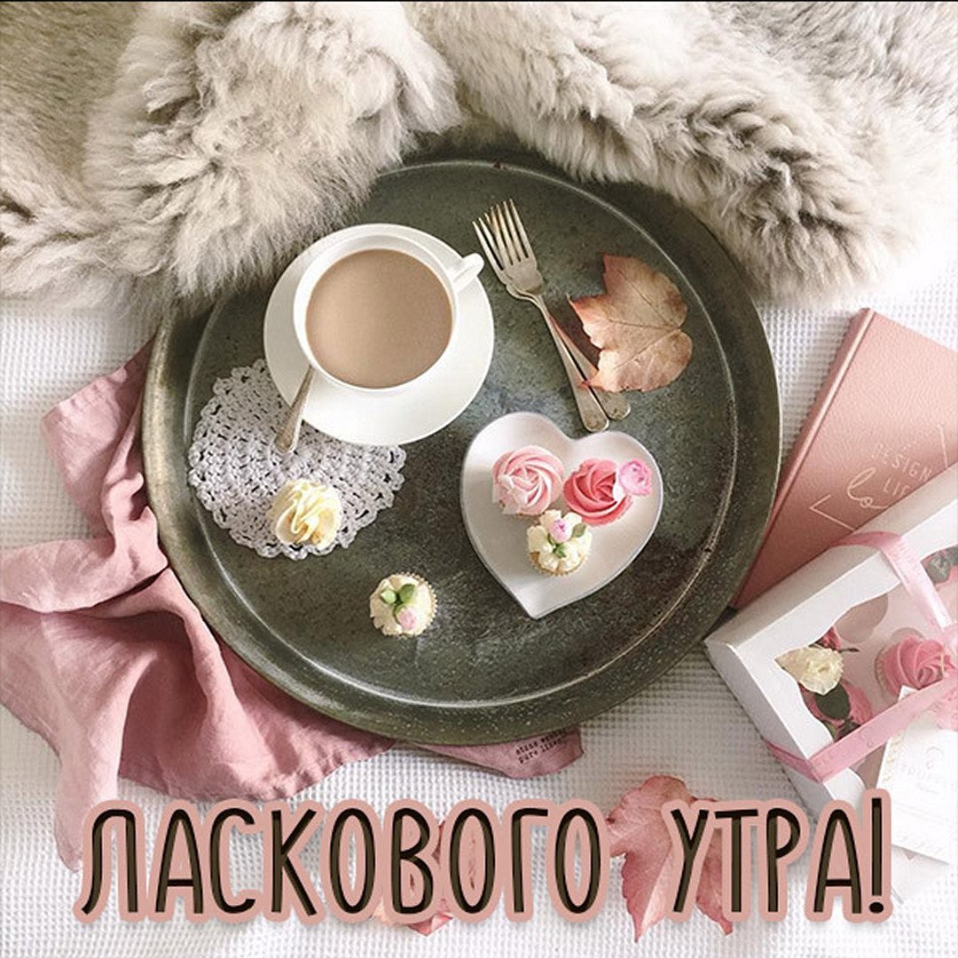 Нежные открытки с добрым утром мужчине