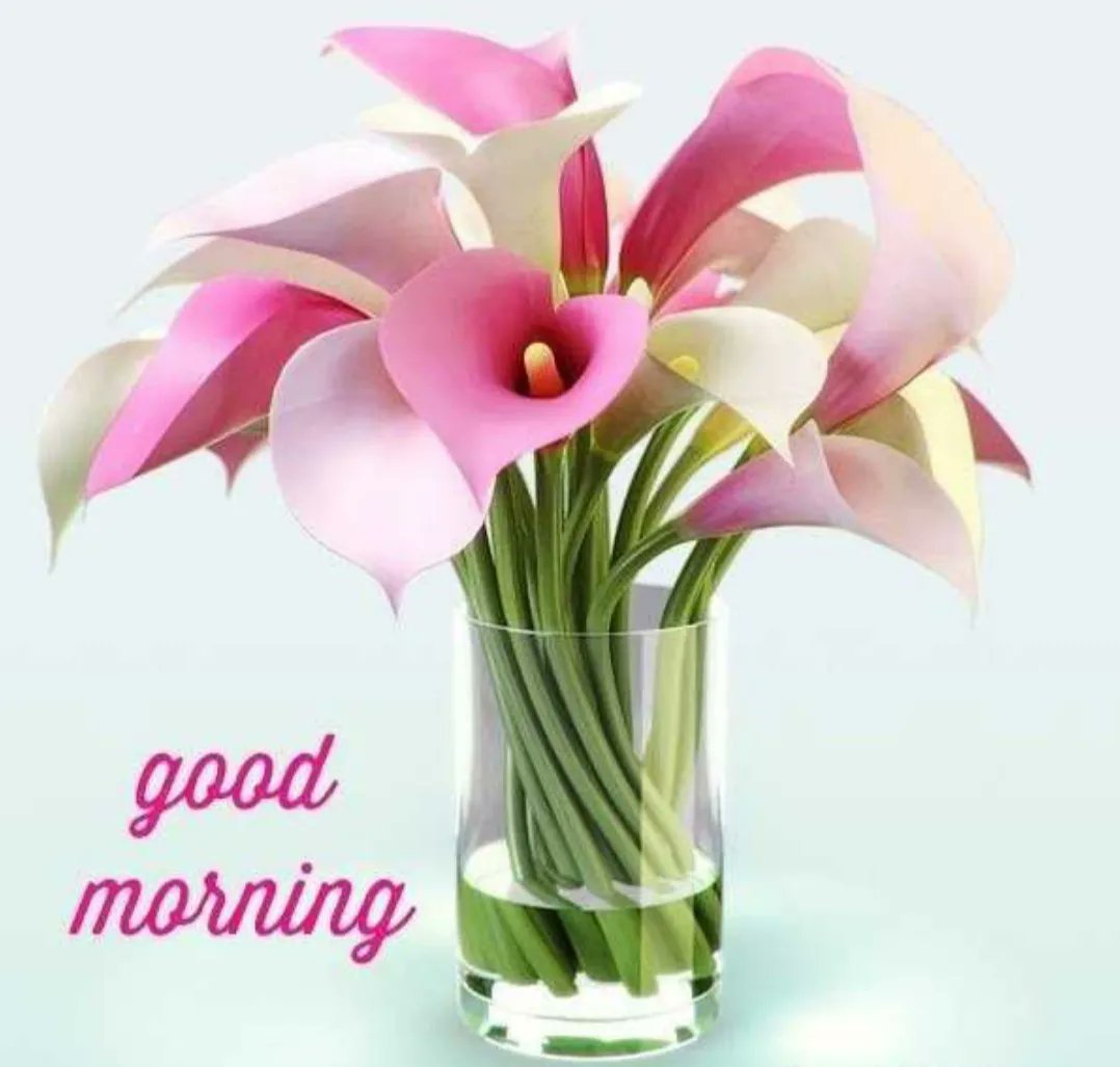 Розовые каллы в вазе