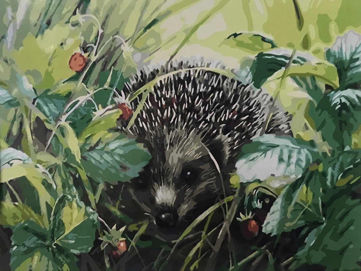 Юлия неприятель художник картины Ежи