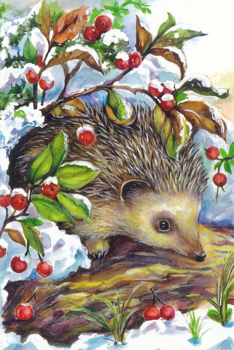 Михаил пришвин еж