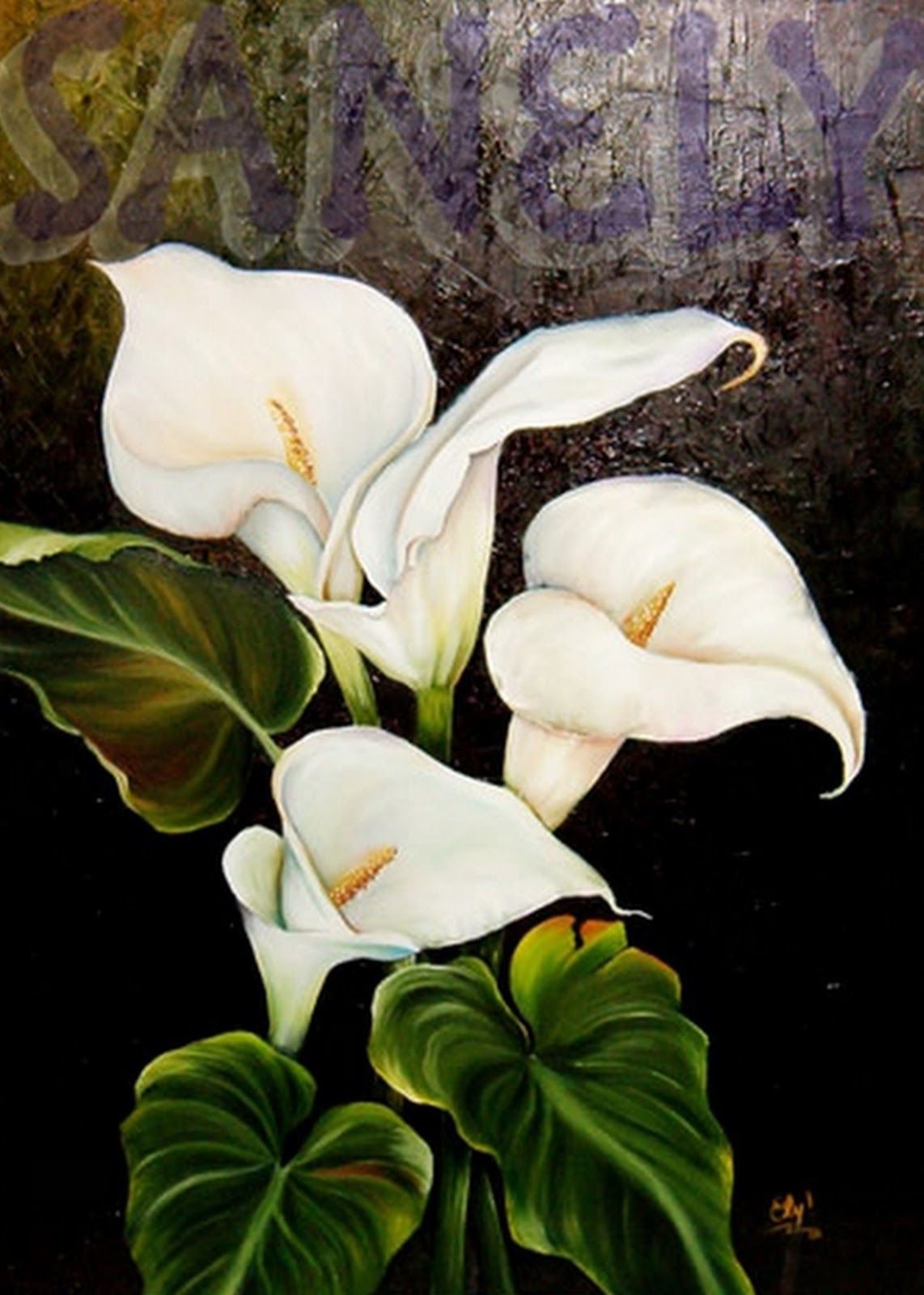 Картинакатрин Абель каллы