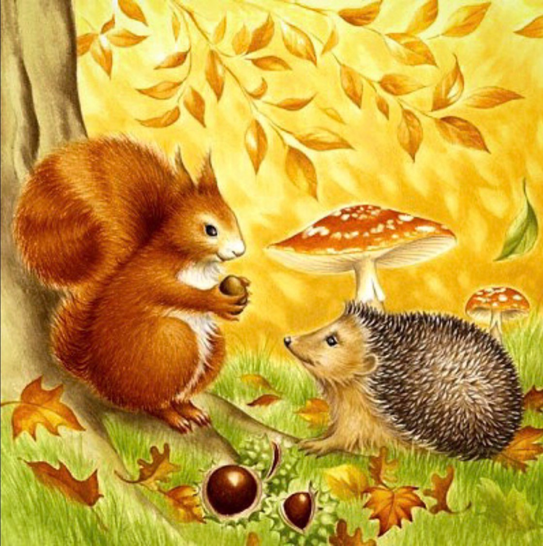 Белка и еж