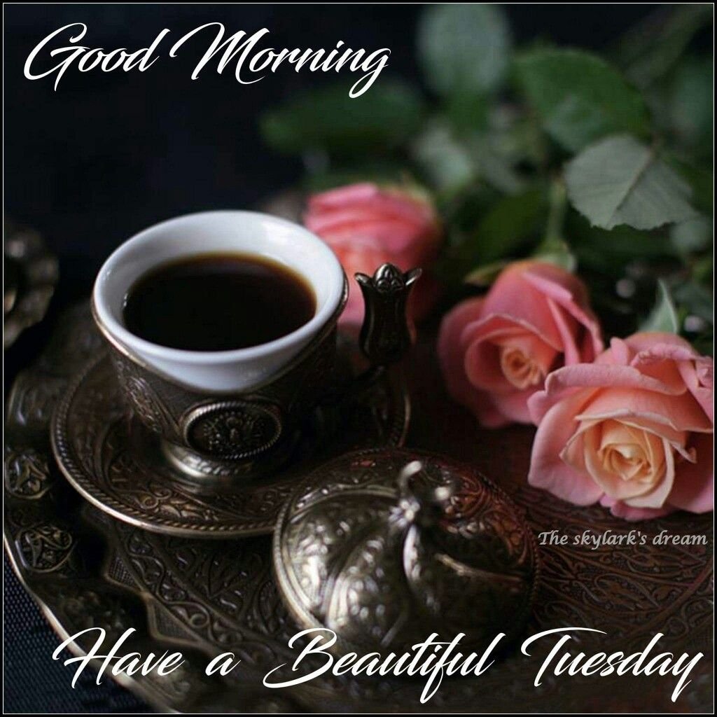 Кофе и роза