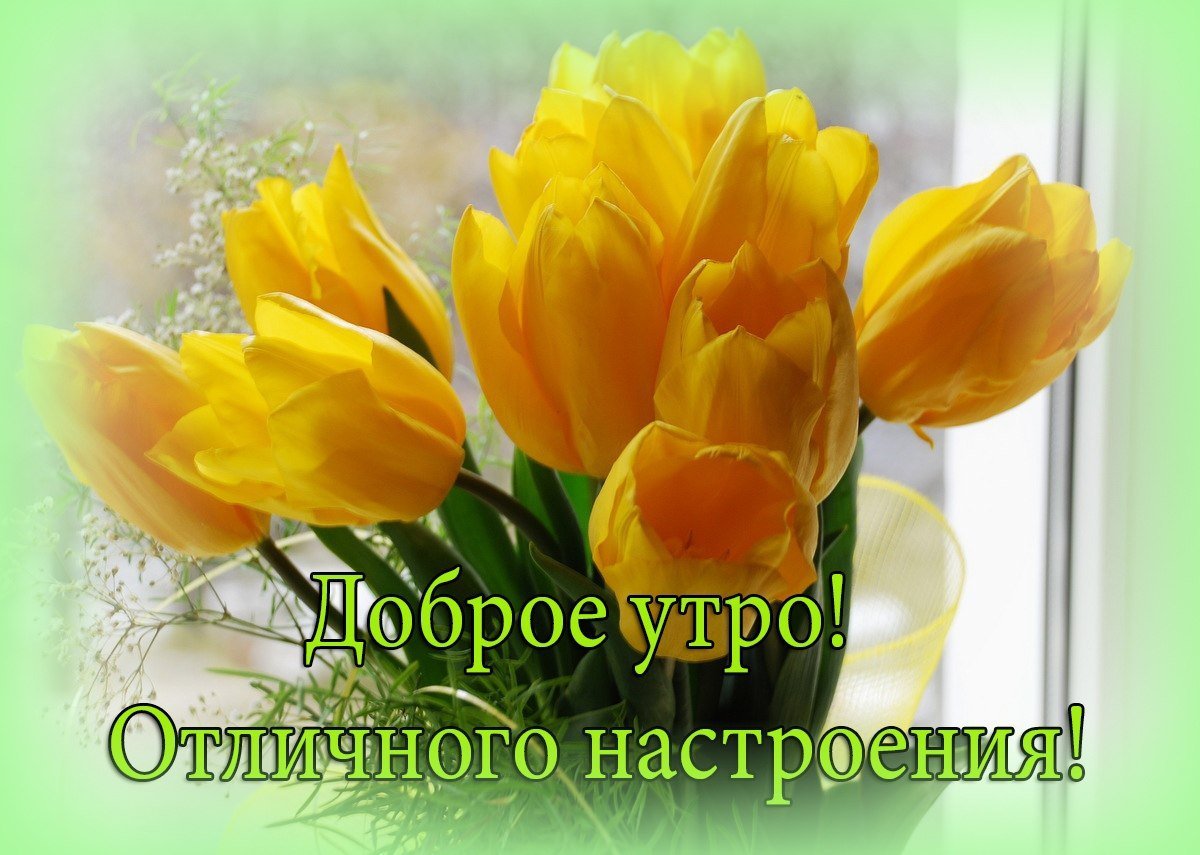 Доброе утро красота