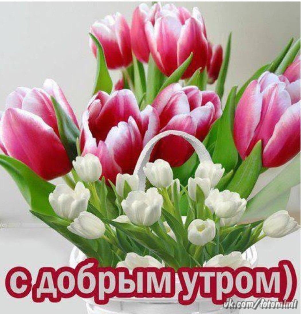 Хорошего весеннего настроения