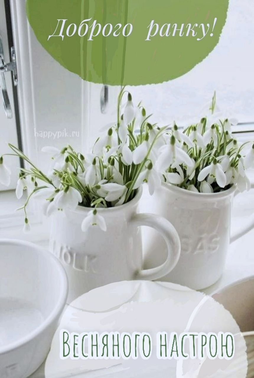 Доброе утро благословенного дня