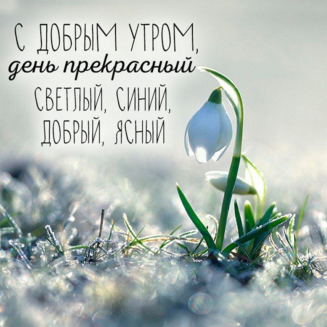 Анимационные открытки с добрым утром