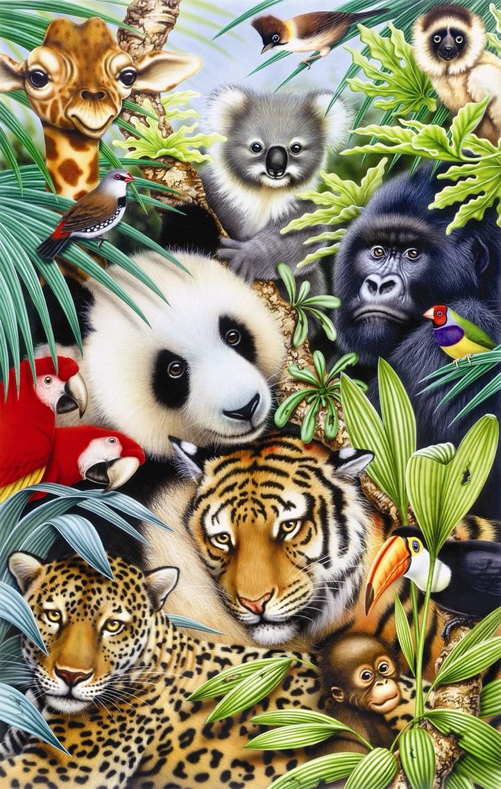 Множество животных