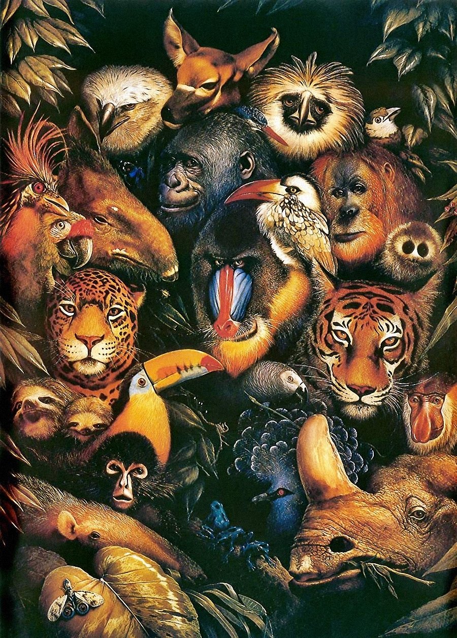 Все животные в мире картинки