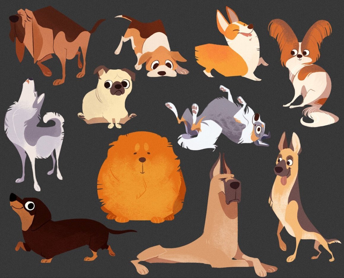 Животные джунглей