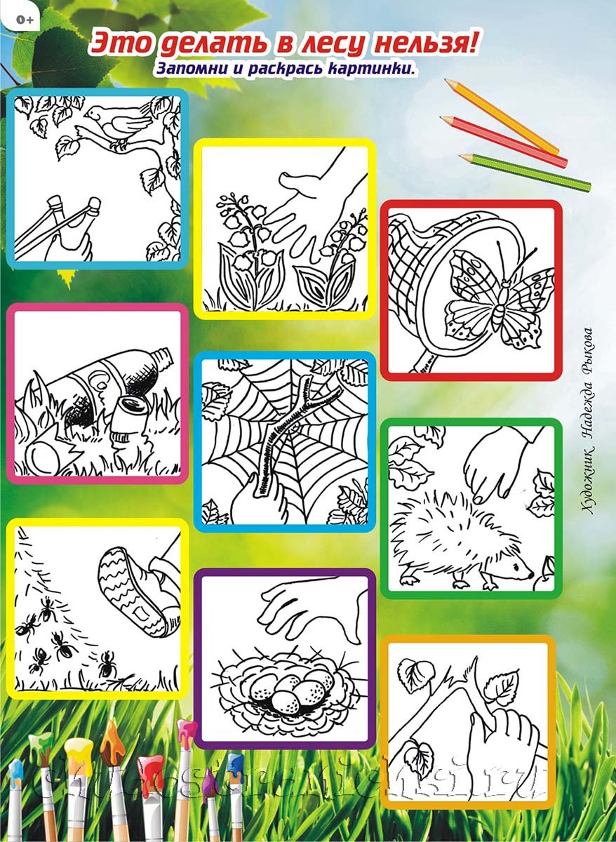 Правила поведения в лесу