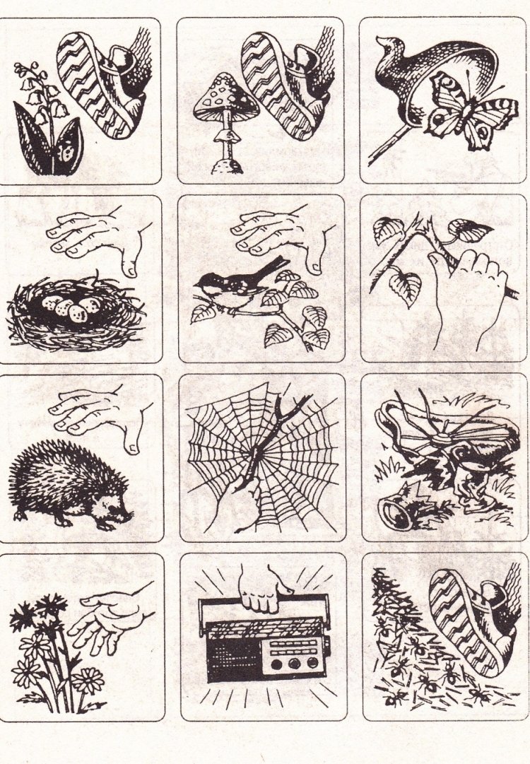 Правила поведения на природе