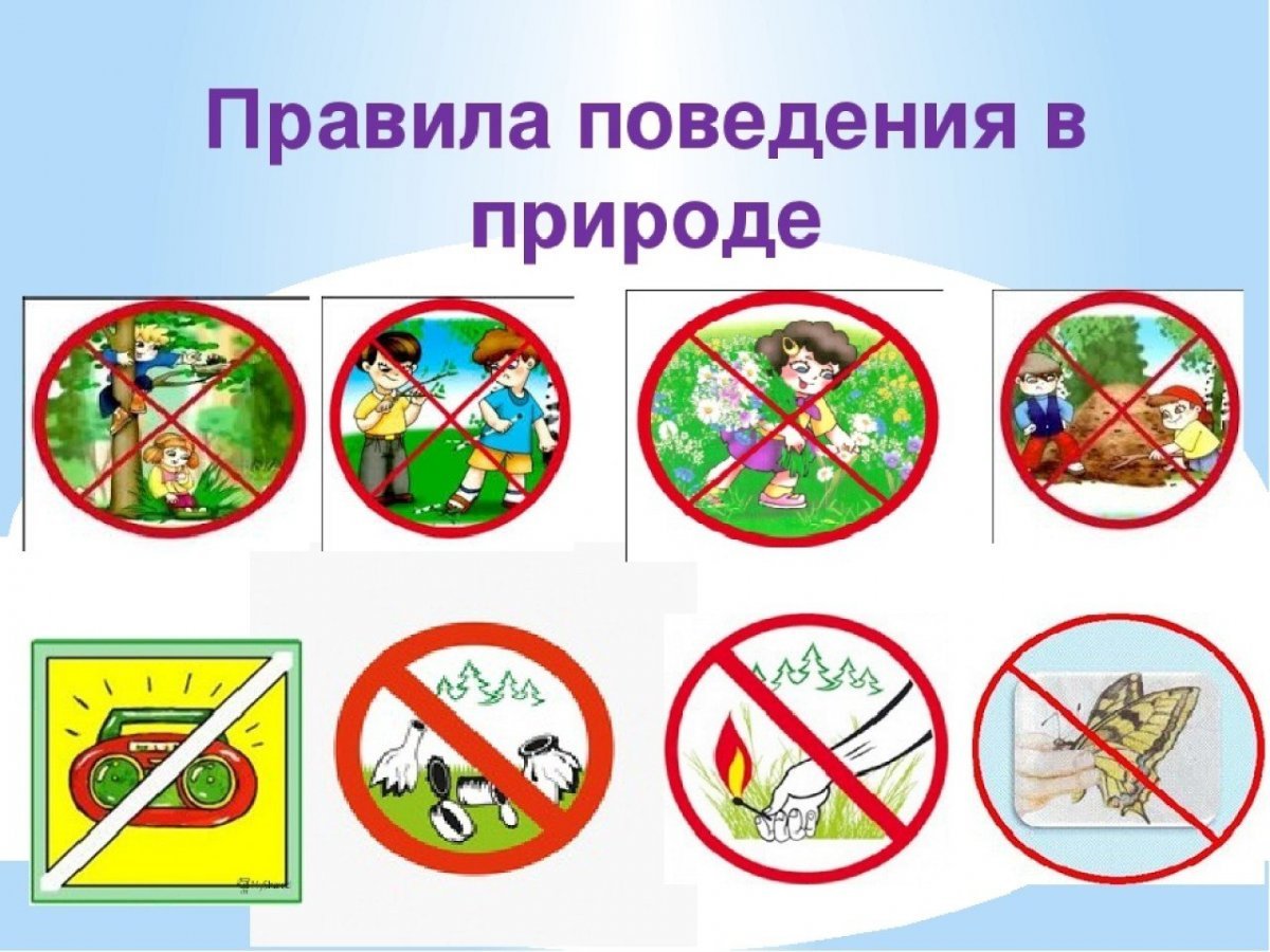 Правила поведения втприроде
