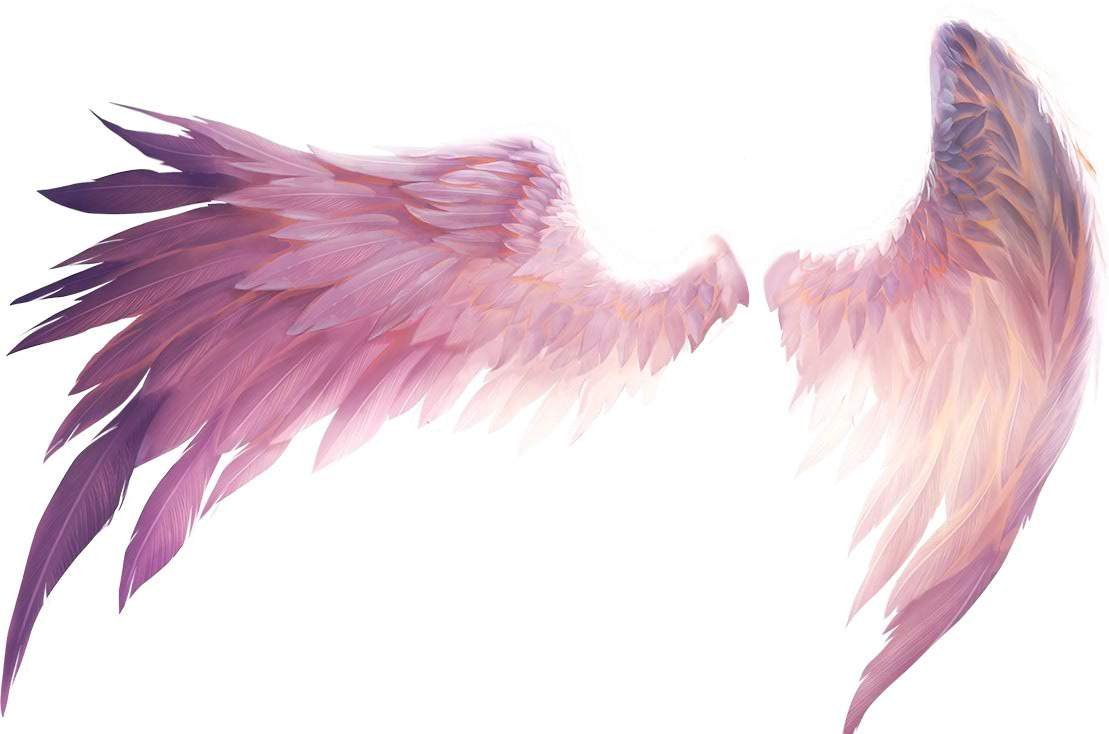 Крылья на прозрачном фоне