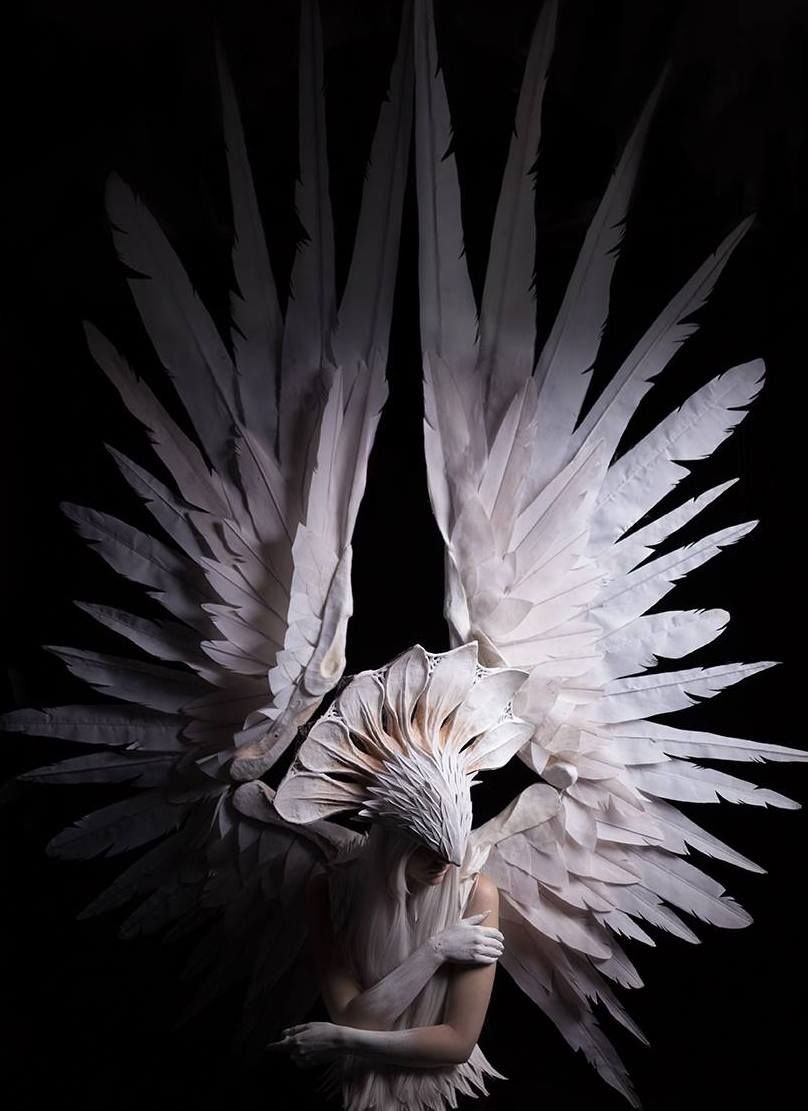 Эми Джадд Крылья