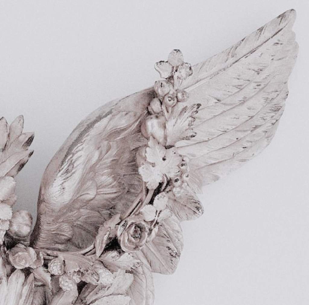 Ангел Эстетика тумблер