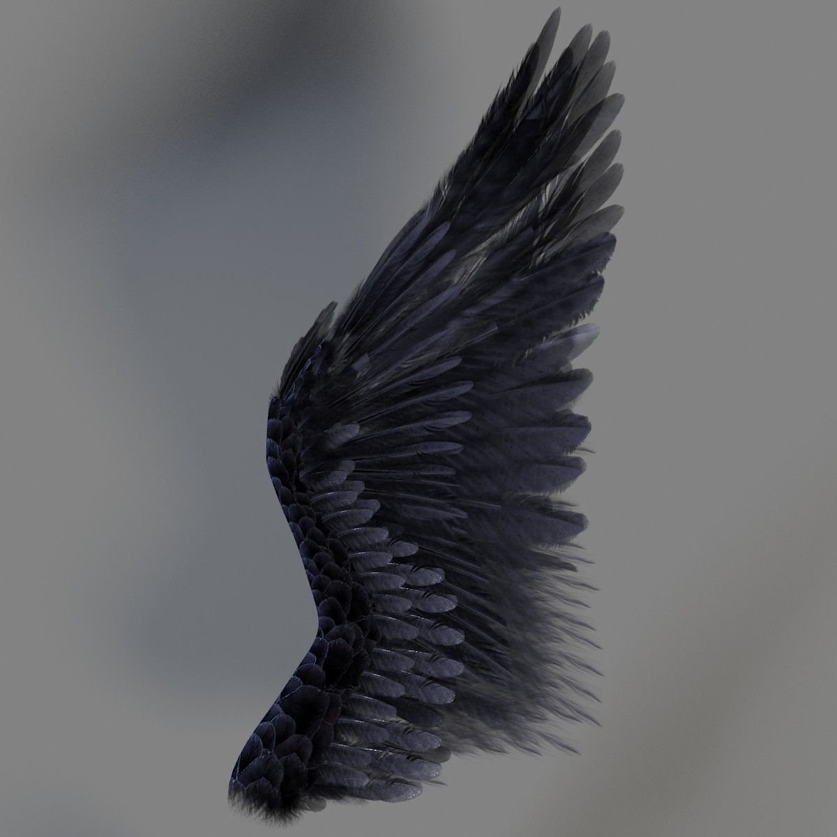 Крылья ангела черные