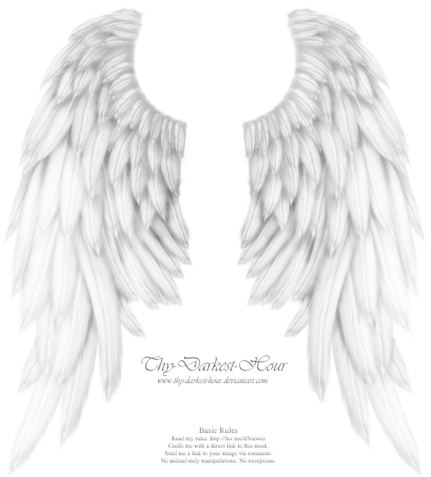 Крылья ангела