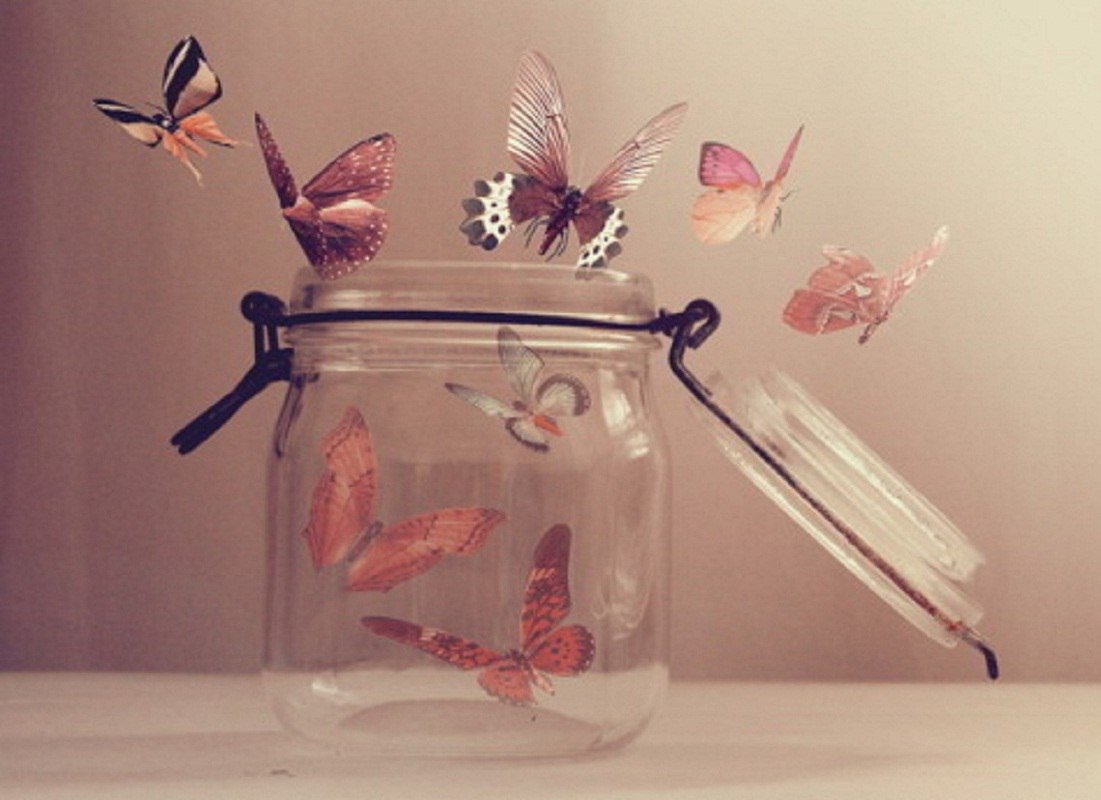 Баночка из бабочек