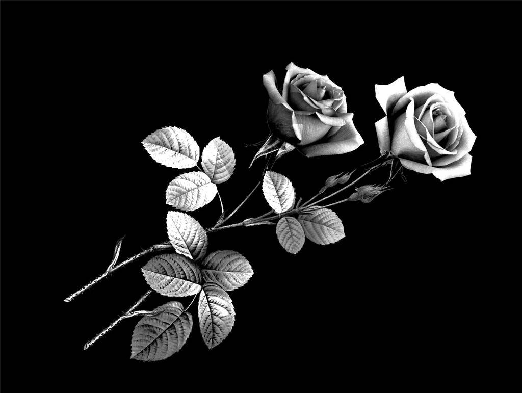 Виньетки на памятник гравировка