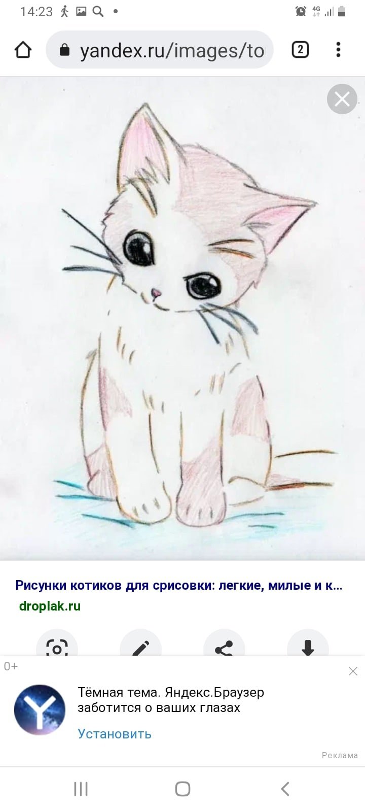 Аватарки с котиками