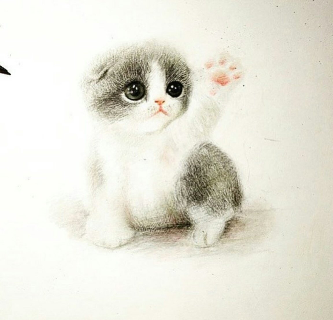 Милый мультяшный кот