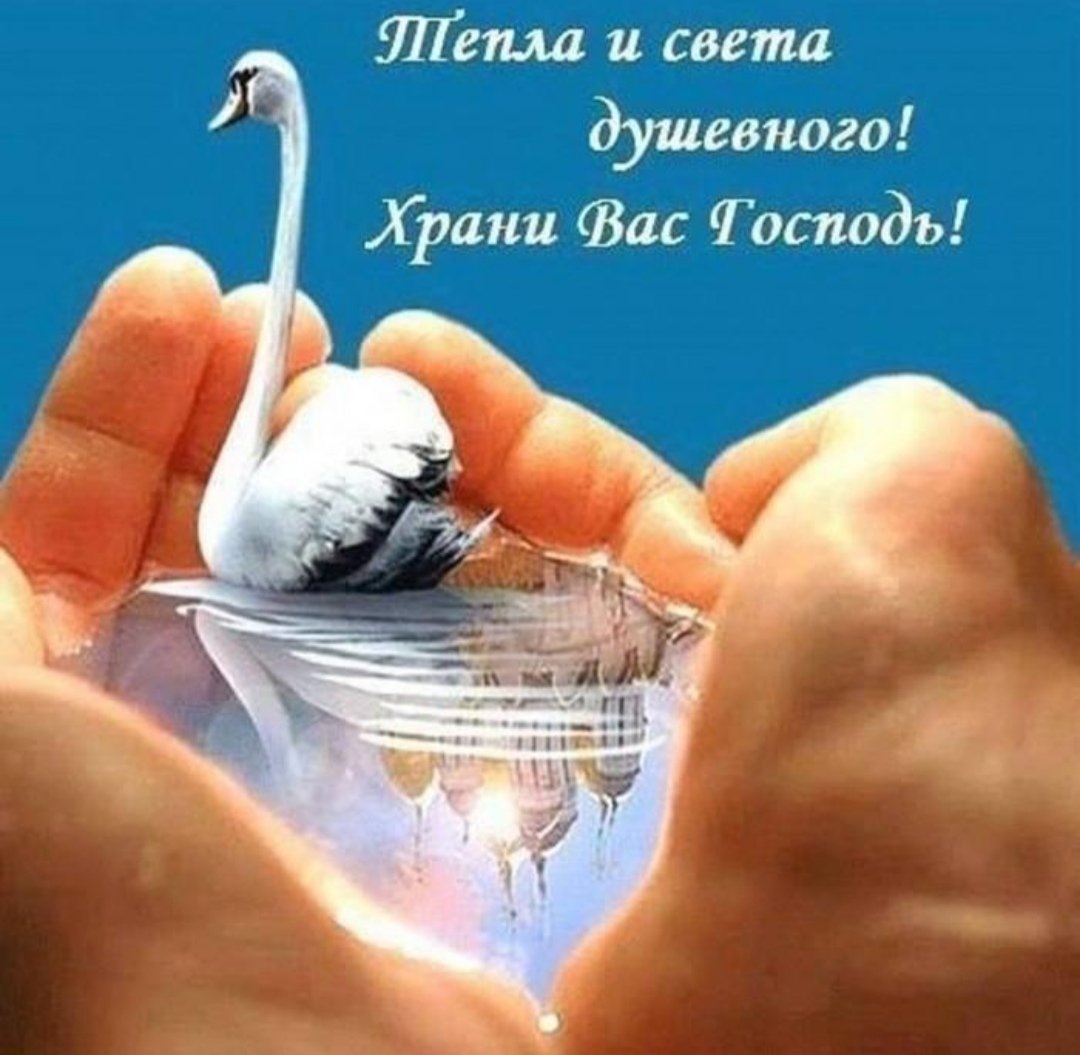 Теплого и доброго вам дня