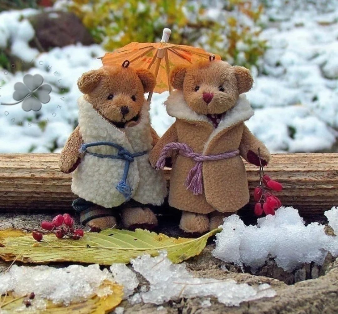 Доброе дождливое утро