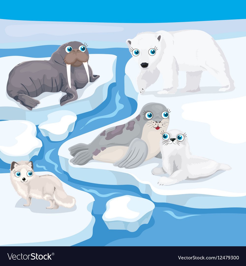 Северные животные отрисовка