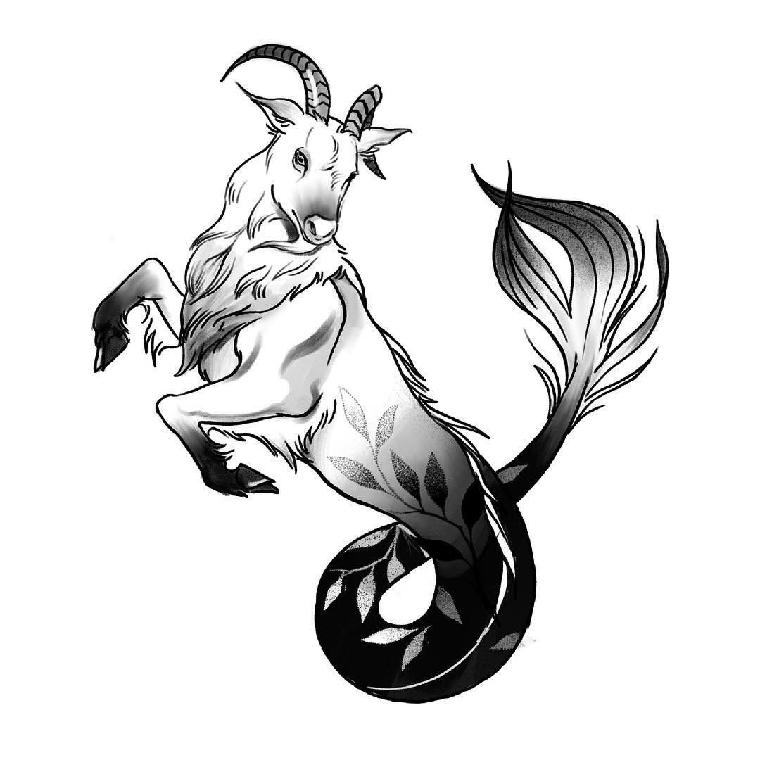 Козерог на белом фоне