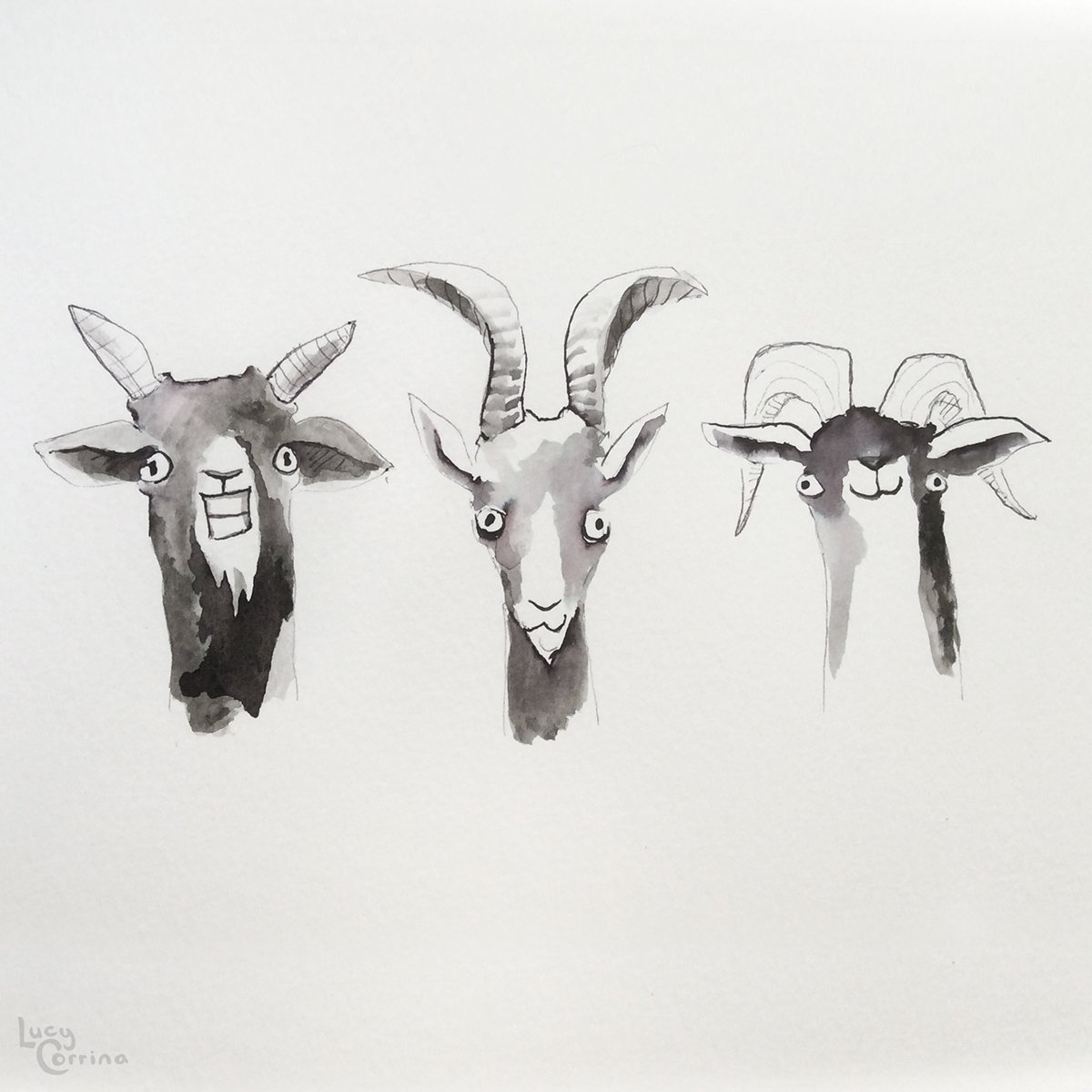 Коза с козлятами Автор серии домашние животные с Веретенникова