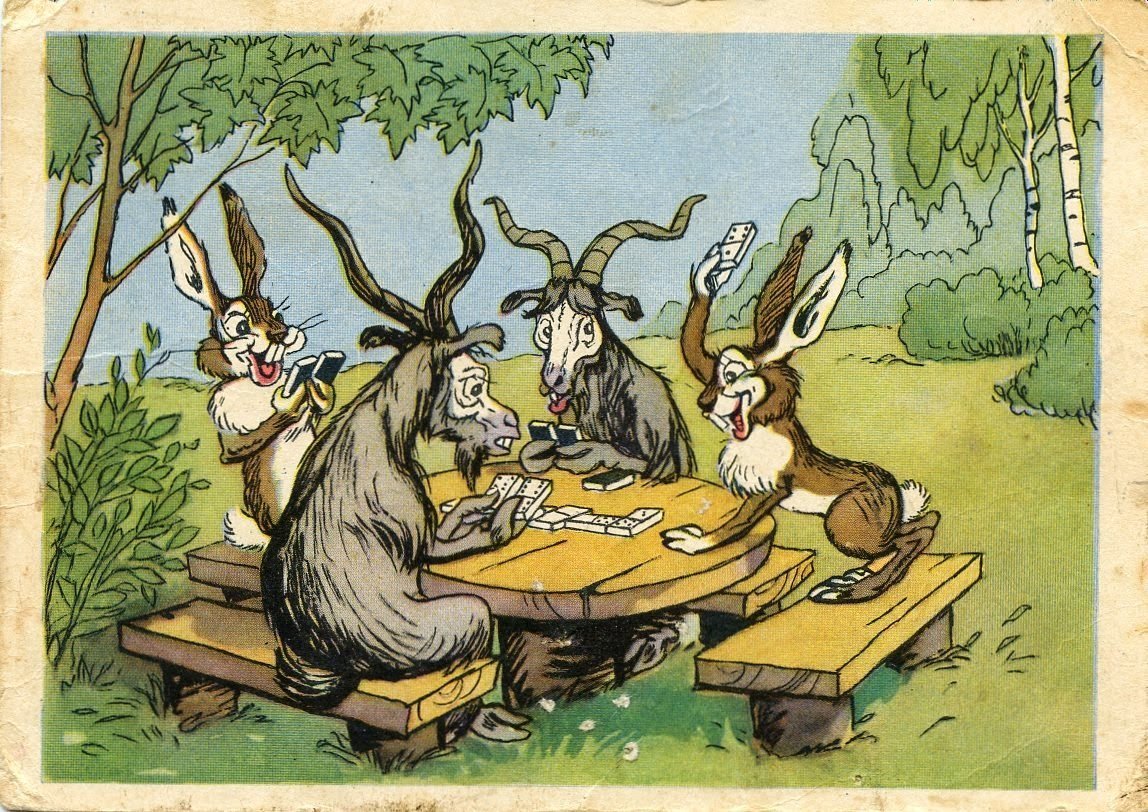 Много коз на белом фоне