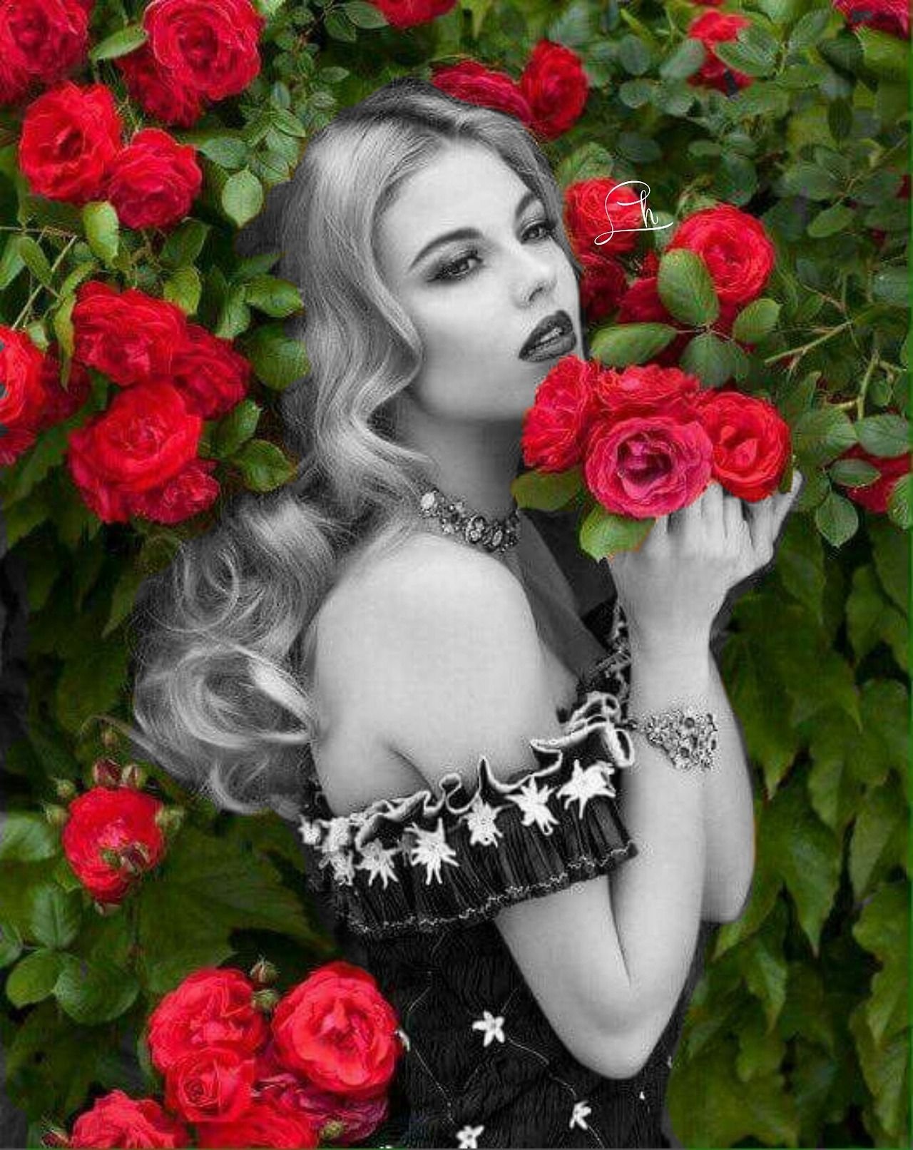 Розы красивые женщины. Дана Роуз. Девушка с розой. Фотосессия с розами. Фотосет с розами.