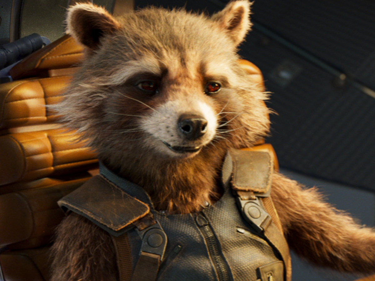 Енот ракета