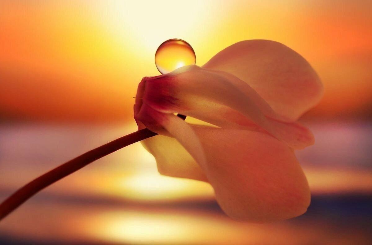 Ключ от сердца