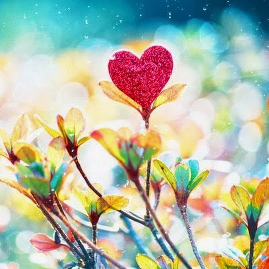 Девушка держит сердце