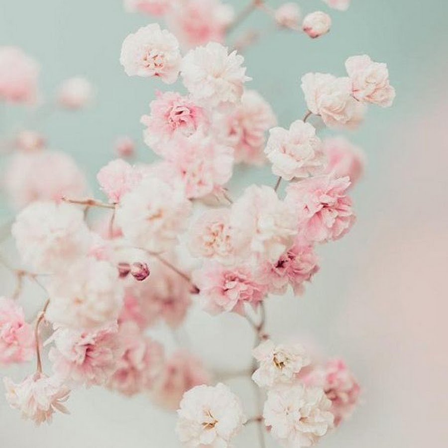 Нежные пастельные цветы